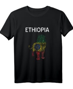 Äthiopien Löwe Shirt mit Flagge - Souvenir & Geschenkidee für Männer, Frauen & Kinder, Cooles T-Shirt für Löwenliebhaber