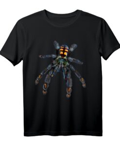 Venezolanische Tarantelspinne, Sonne Tiger (P. Irminia) T-Shirt  Gruselige Gothic-Inspirierte Spinnen Grafik für Festivals, Halloween & dunkle Kunstfans